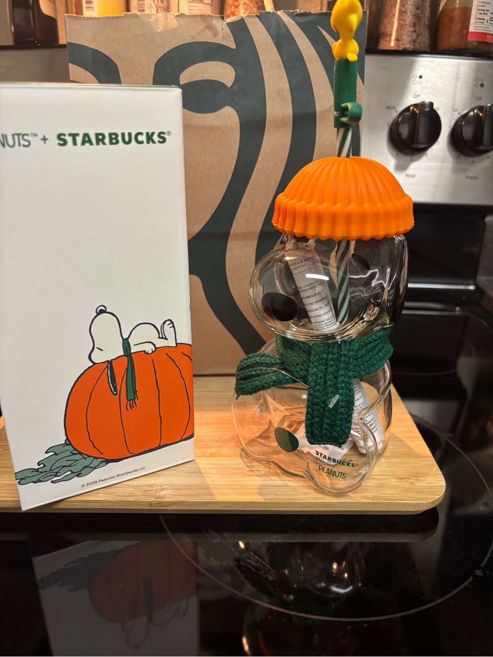 Starbucks Peanuts Orange Pumpkin Bear Glass Bottle with Green Scarf 💯
authentic
